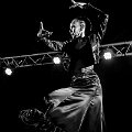 flamenco (104)